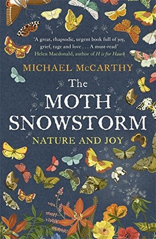 moth-snowstorm