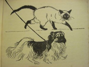 Solomon stalking a neighbor dog.